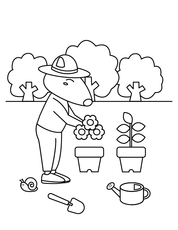 Anteater Gardening in AV