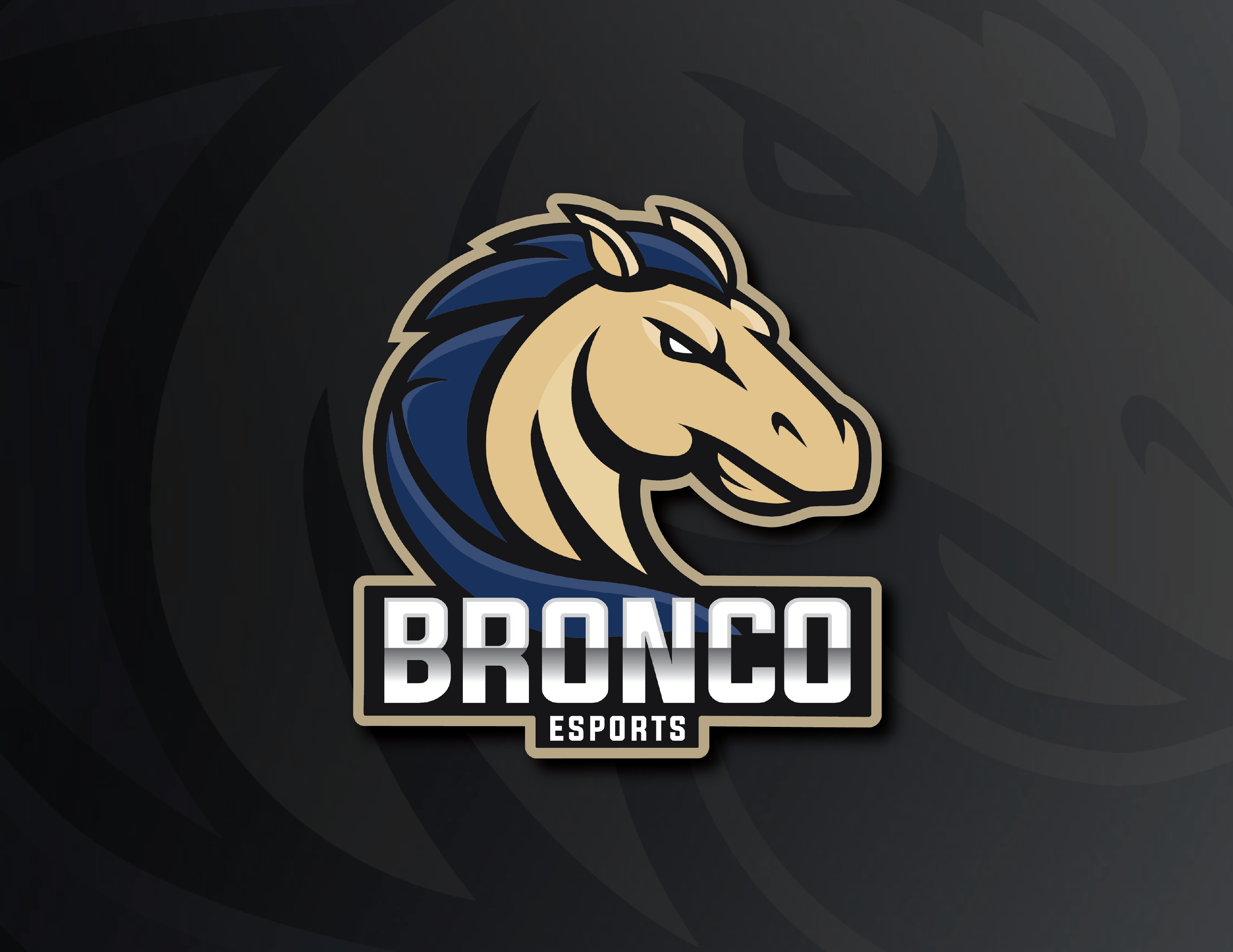 Bronco Esports Logo